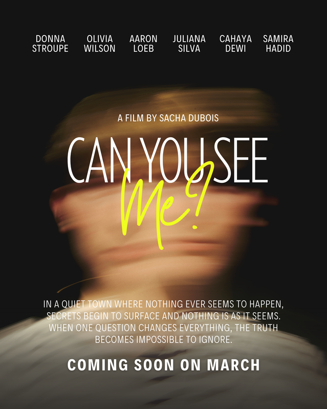 Can You See Me? Entertainment marketing design